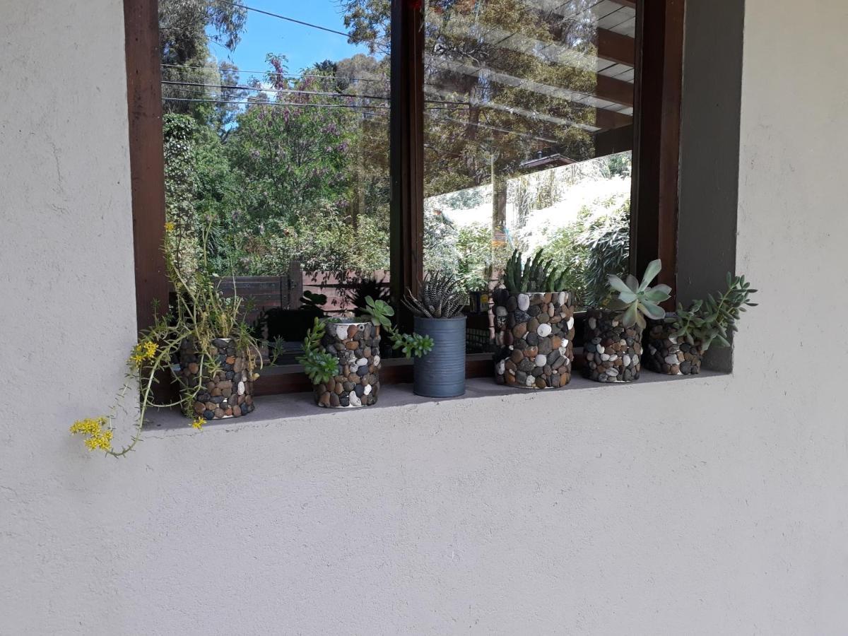 Las Cortaderas Bosque Peralta Ramos Mar del Plata Exteriér fotografie