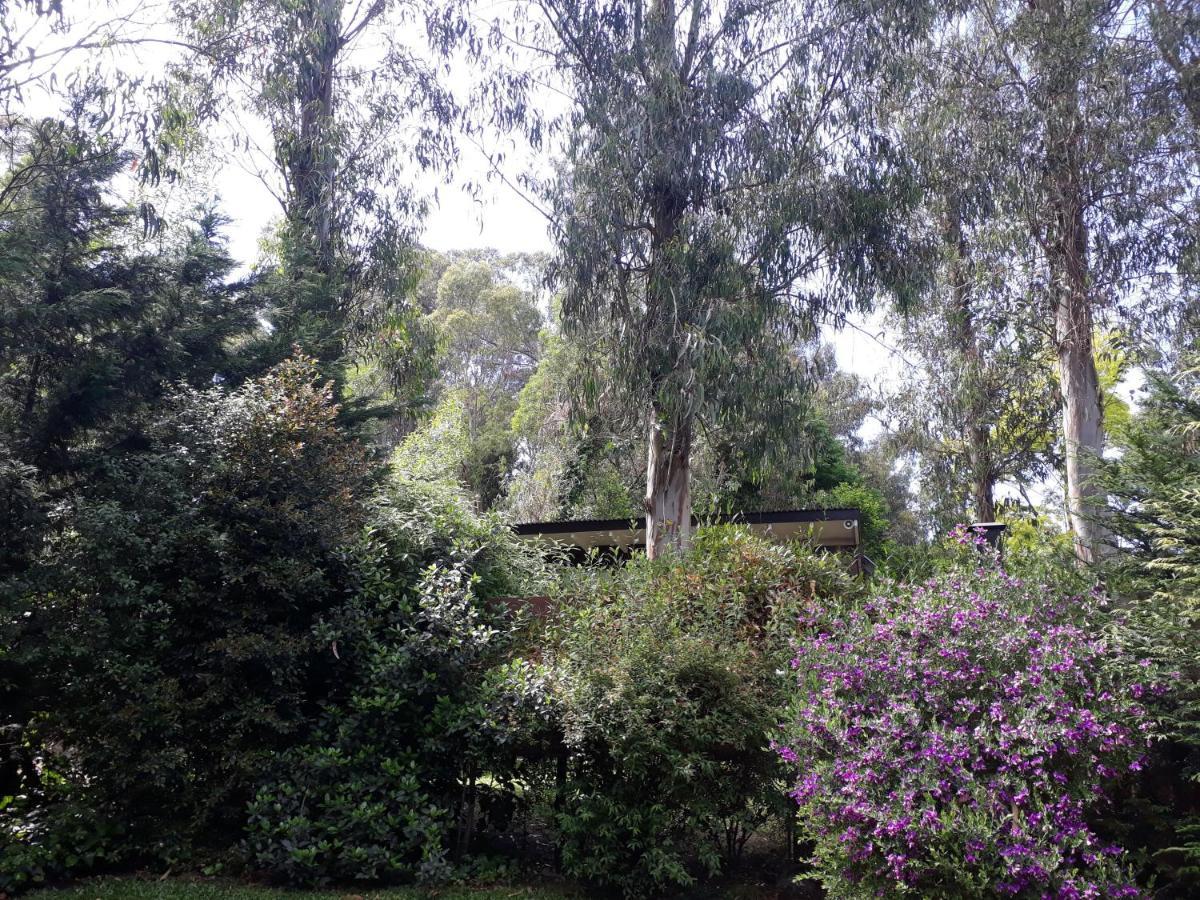 Las Cortaderas Bosque Peralta Ramos Mar del Plata Exteriér fotografie