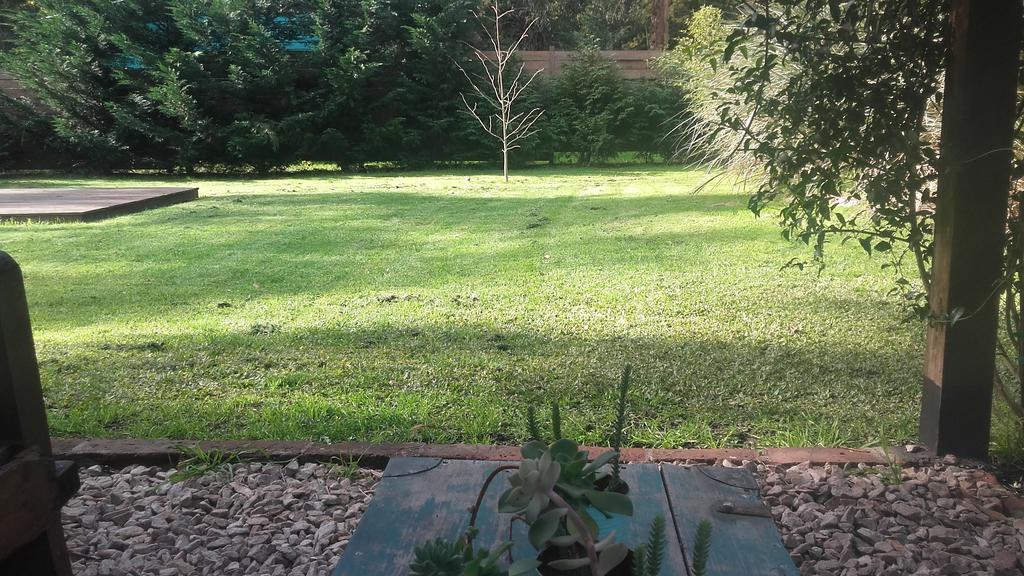Las Cortaderas Bosque Peralta Ramos Mar del Plata Exteriér fotografie